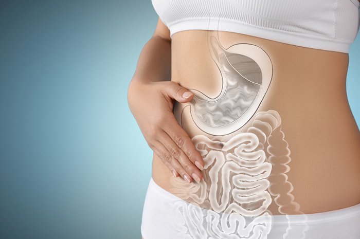 Cómo Mejorar la Microbiota Intestinal Durante la Menopausia